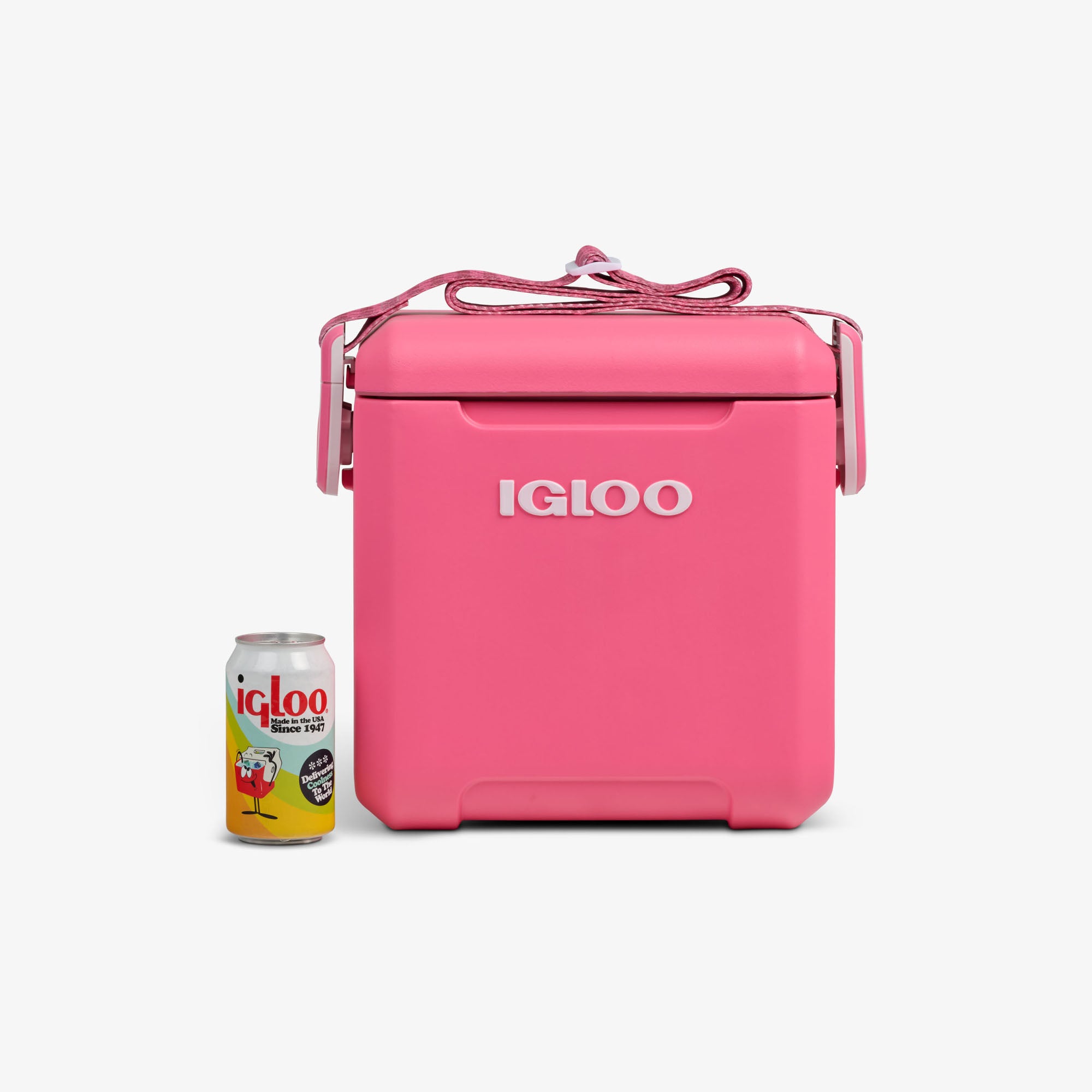 Tag Along Too Remix Cooler - Image 6